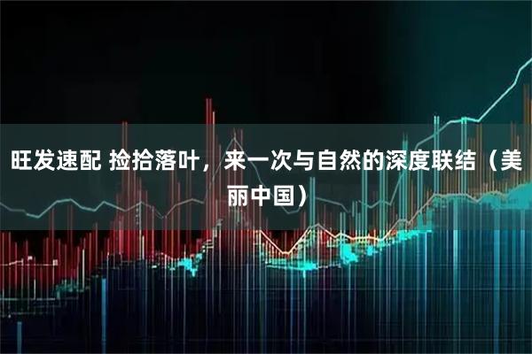 旺发速配 捡拾落叶，来一次与自然的深度联结（美丽中国）