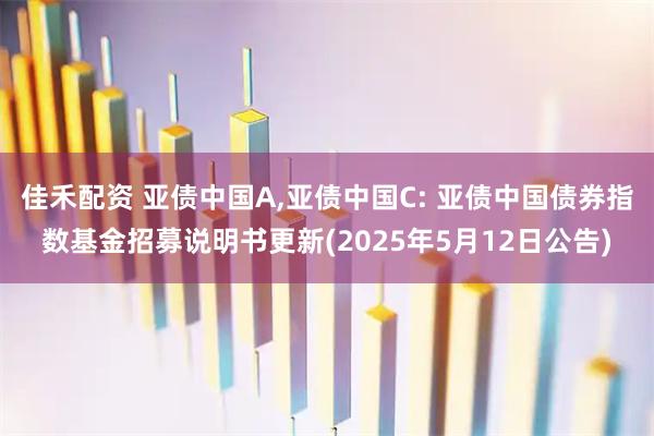 佳禾配资 亚债中国A,亚债中国C: 亚债中国债券指数基金招募说明书更新(2025年5月12日公告)